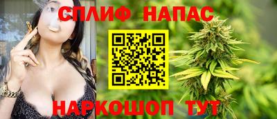 стаф Малгобек