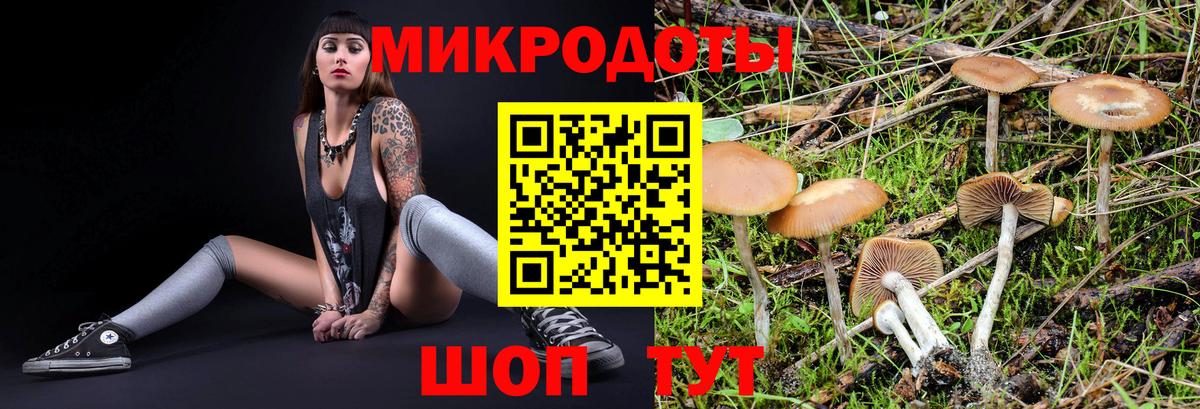 Туймазы  Псилоцибиновые грибы прущие грибы  Вход с VPN 